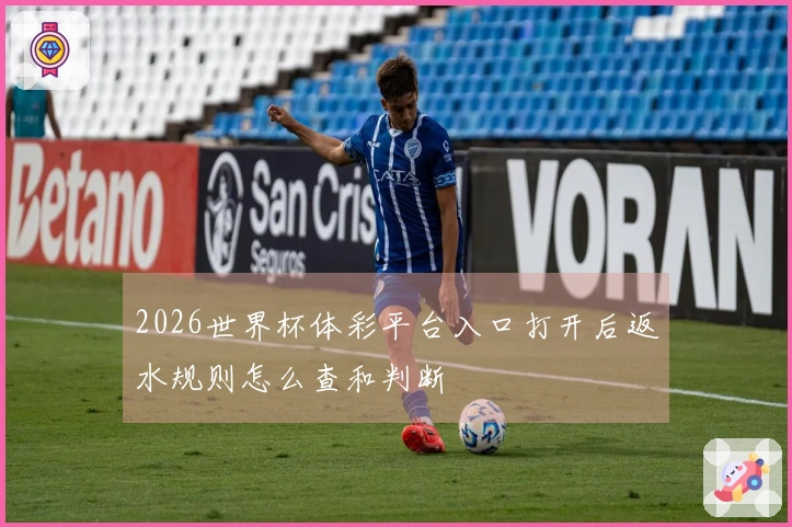 2026世界杯体彩平台入口打开后返水规则怎么查和判断