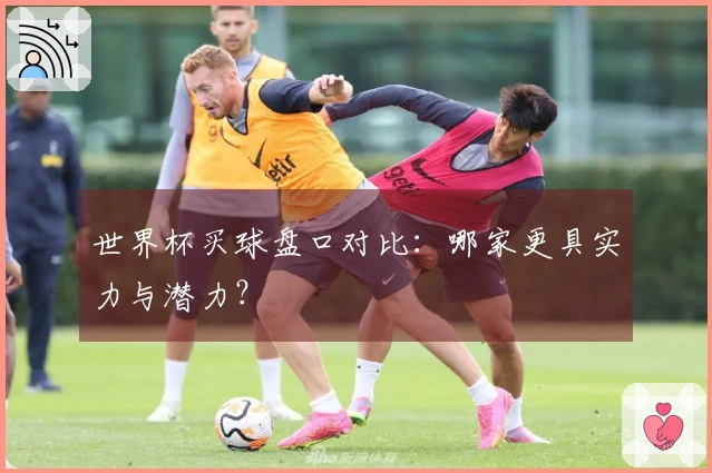 世界杯买球盘口对比：哪家更具实力与潜力？