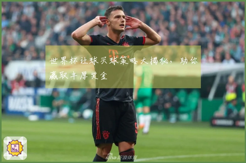 世界杯让球买球策略大揭秘，助你赢取丰厚奖金