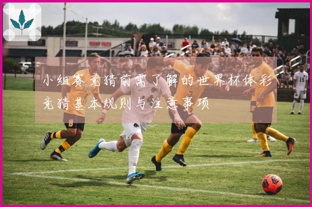 小组赛竞猜前需了解的世界杯体彩竞猜基本规则与注意事项
