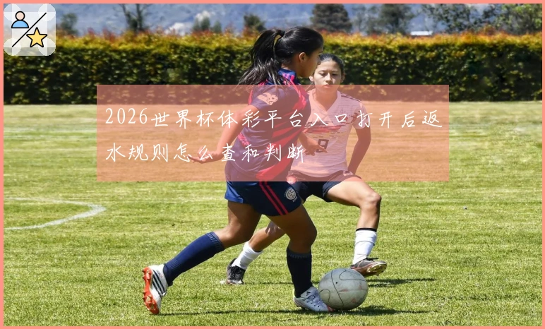2026世界杯体彩平台入口打开后返水规则怎么查和判断